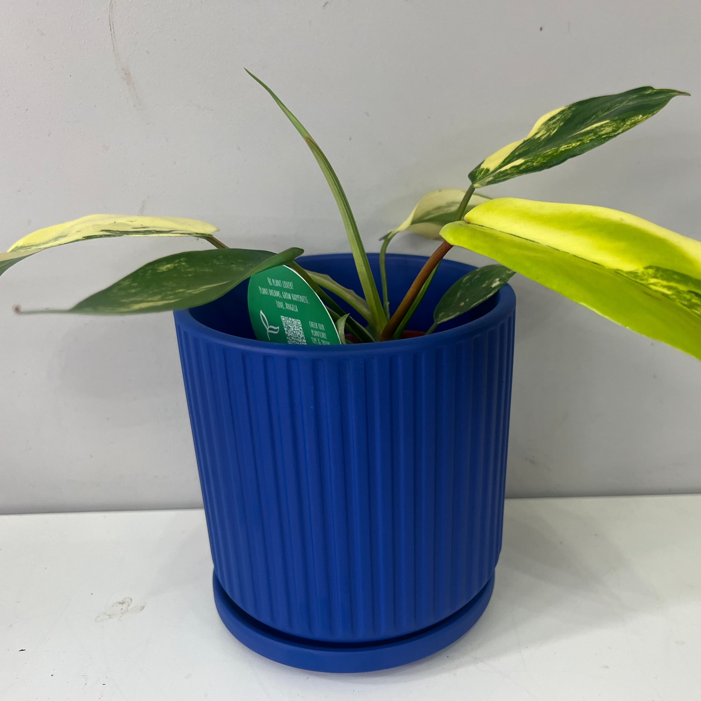 Blue Ribbed Ceramic Pot & Saucer - 12cm inner