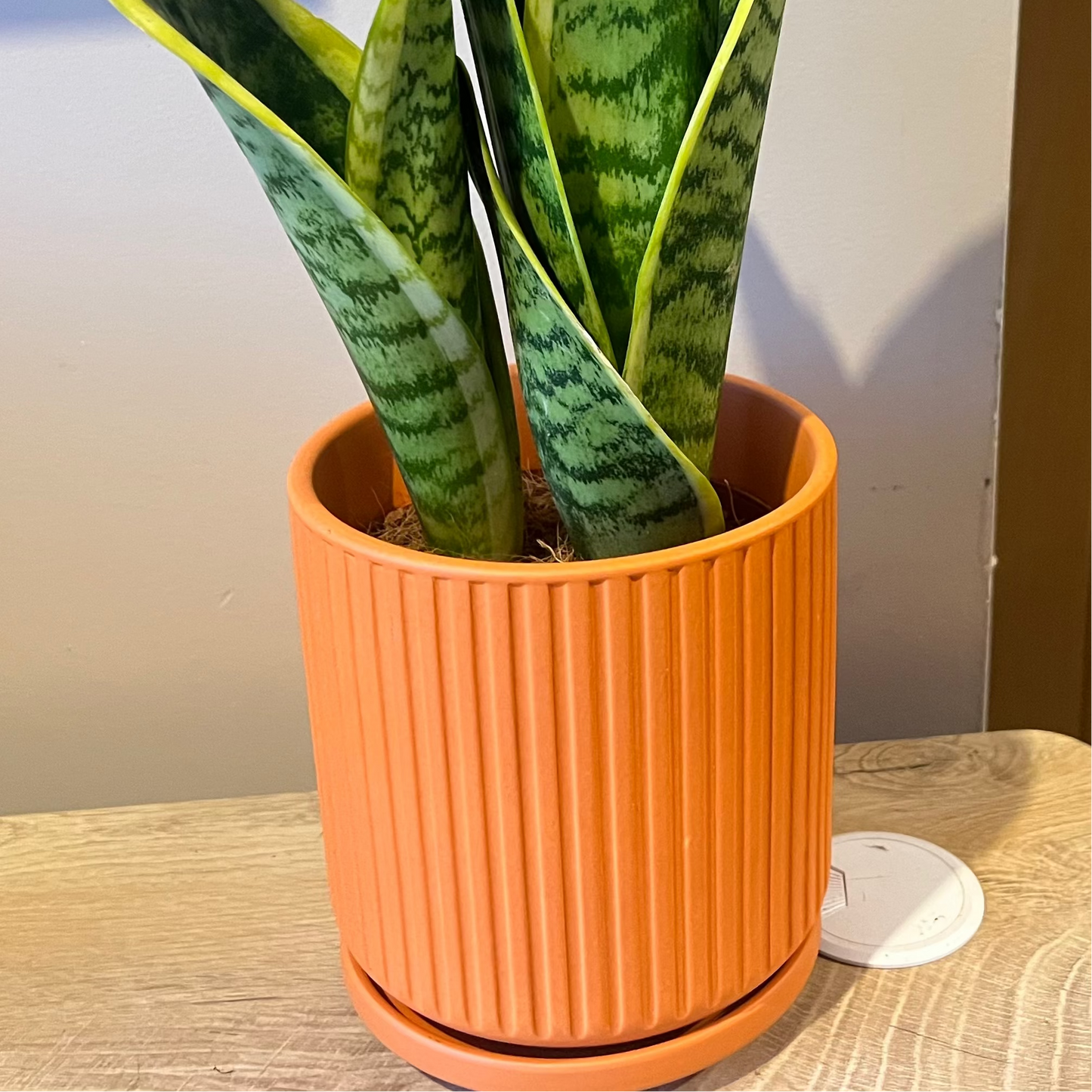 Orange Ribbed Ceramic Pot & Saucer - 12cm inner