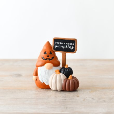 Freshly Picked Pumpkins Gonk π