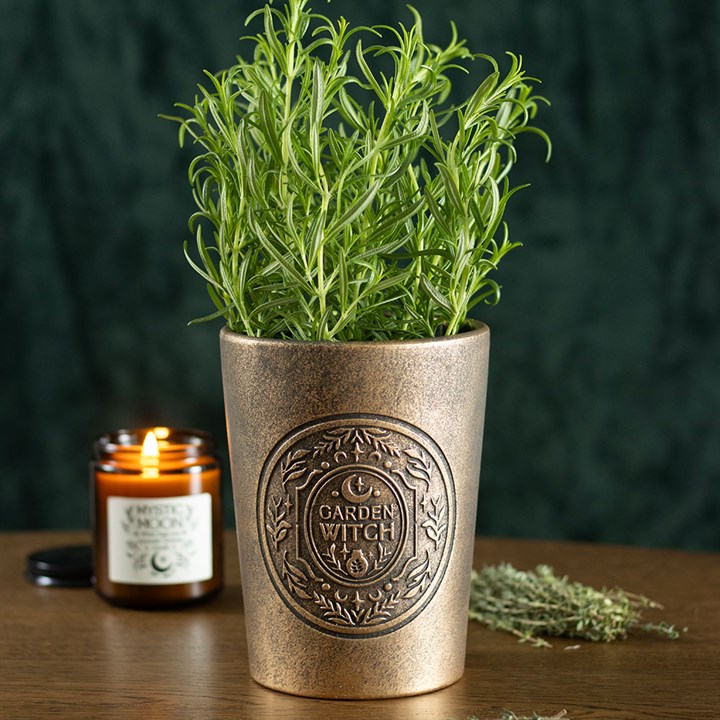 Garden Witch Bronze Effect Terracotta Plant Pot 11.5cm inner