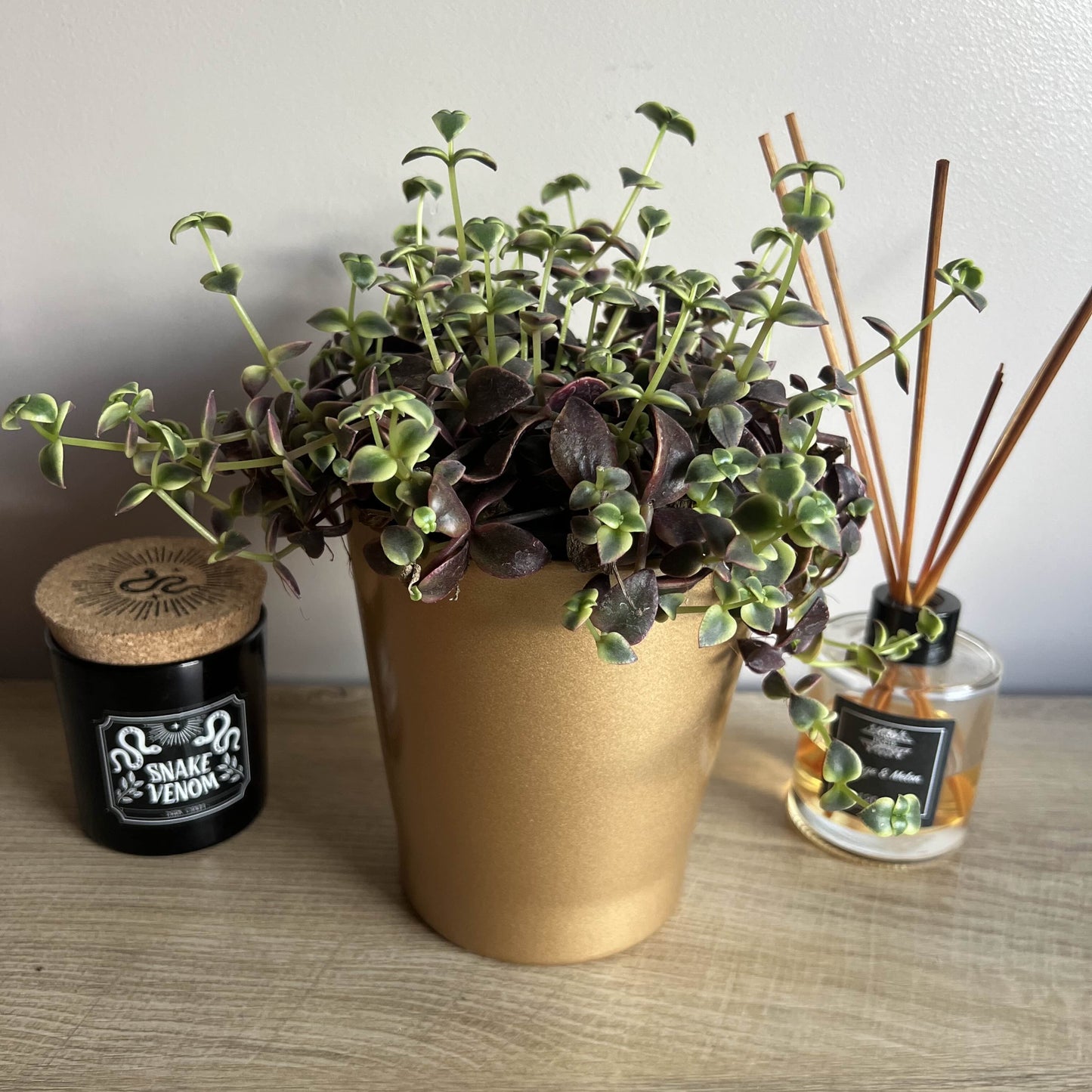 Ceramic Midas Pot 14cm