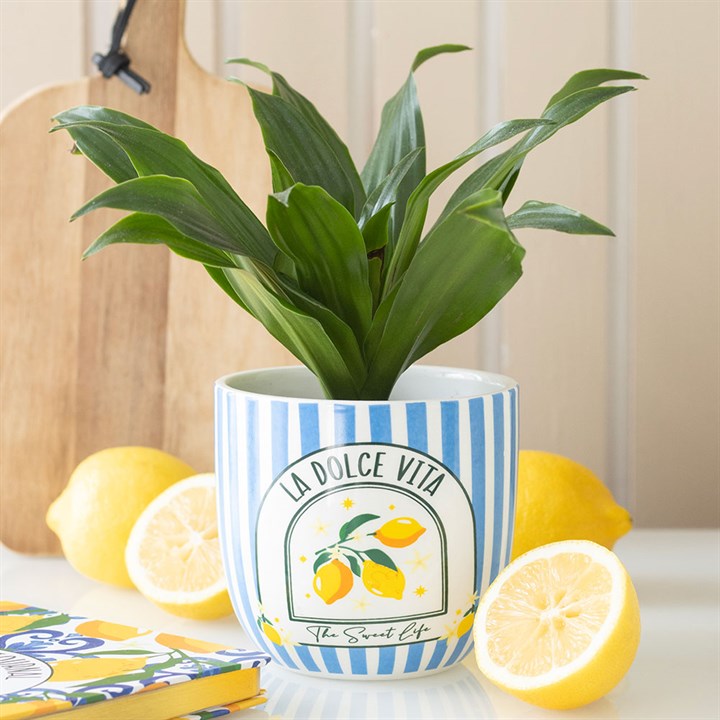Blue Striped La Dolce Vita Plant Pot 10cm inner