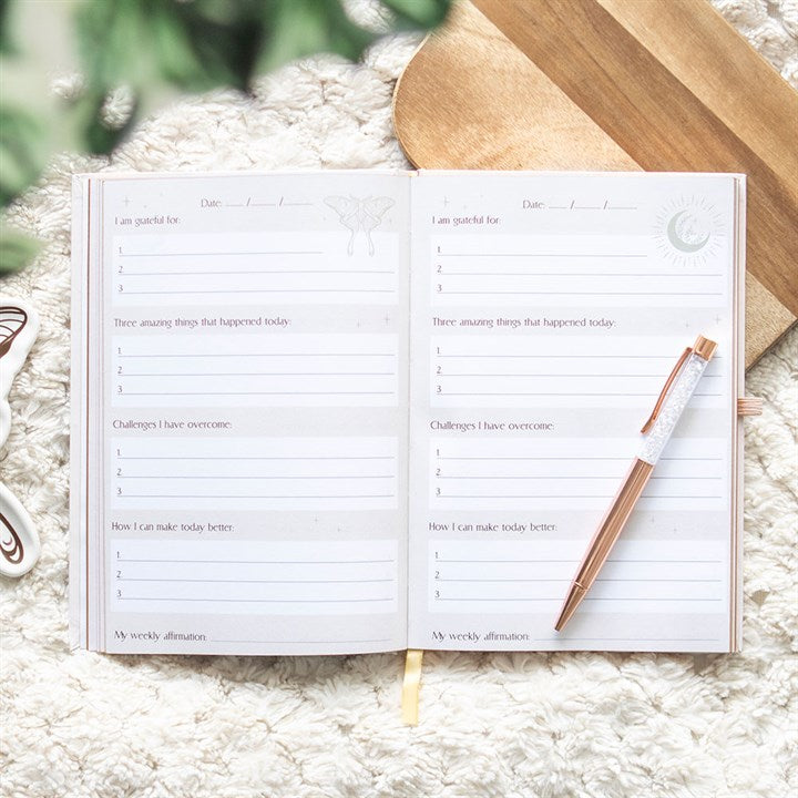 Luna Moth Daily Reflection Journal with Quartz Pen