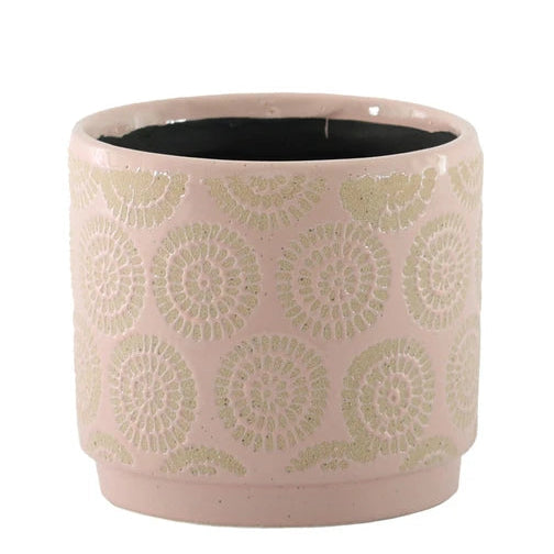 Pink Cosmos Pot