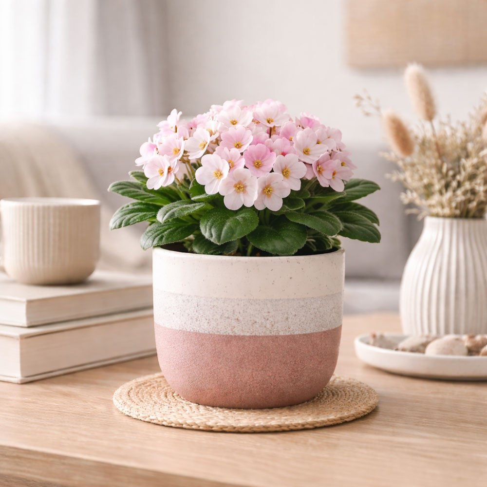 Pink & White Neopolitan Stoneware Pot