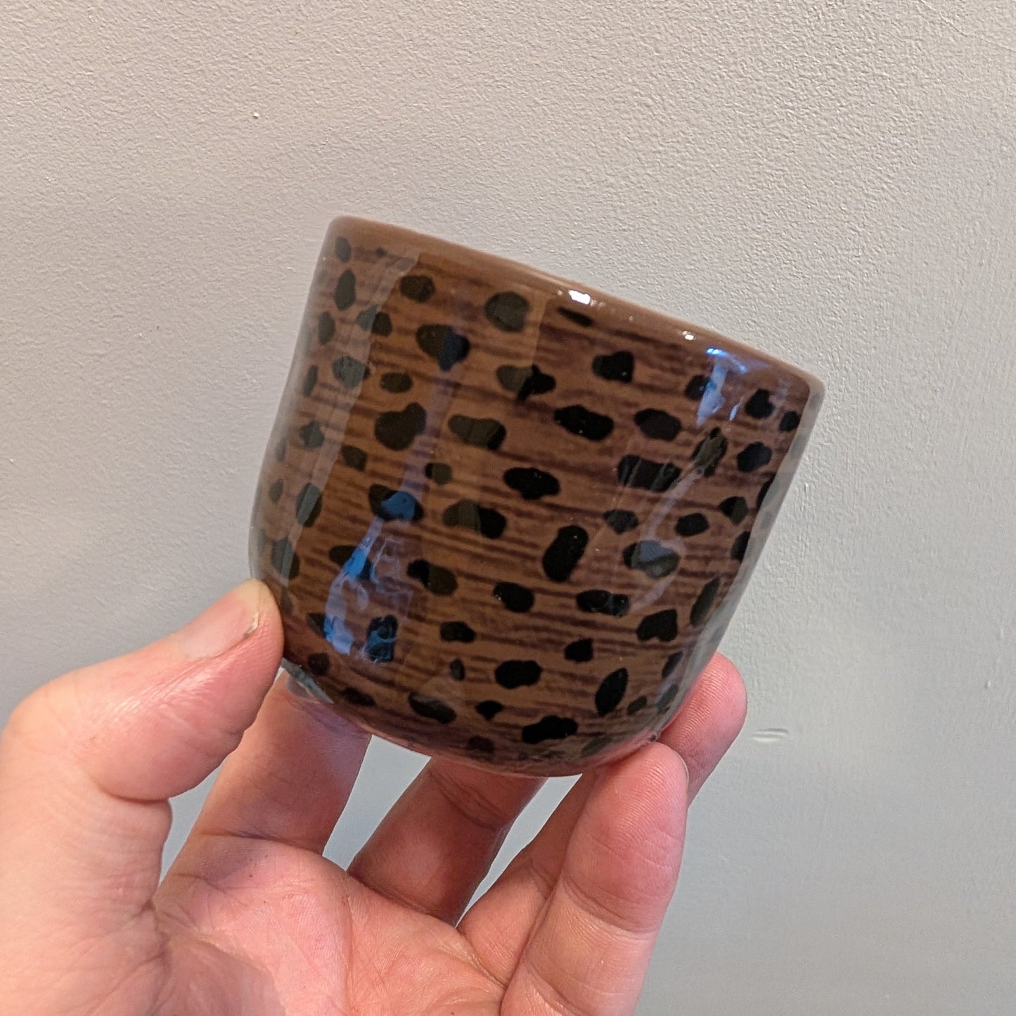 Savannah Spot Pot 6.5cm inner