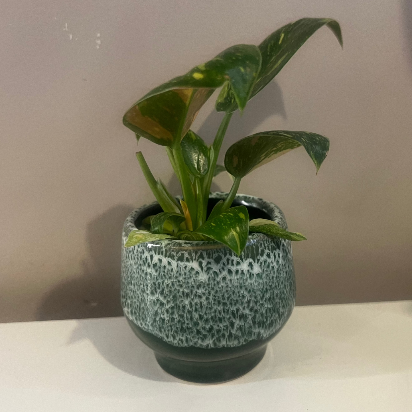 Green Glazed Monta Pot