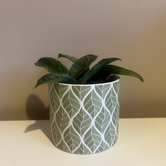Green Leaf Plant Pot 10.5cm inner
