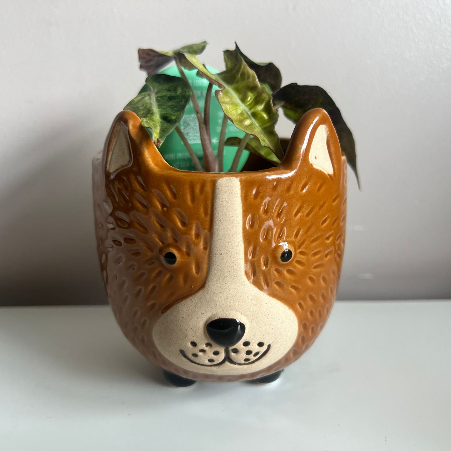 Ceramic Bear Pot - 9.5cm inner (2 colours)