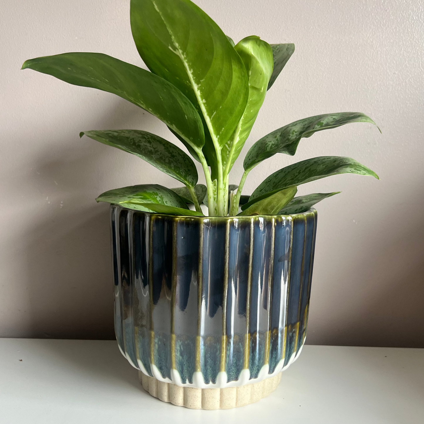 Nori Ridge Pot 16.5cm inner