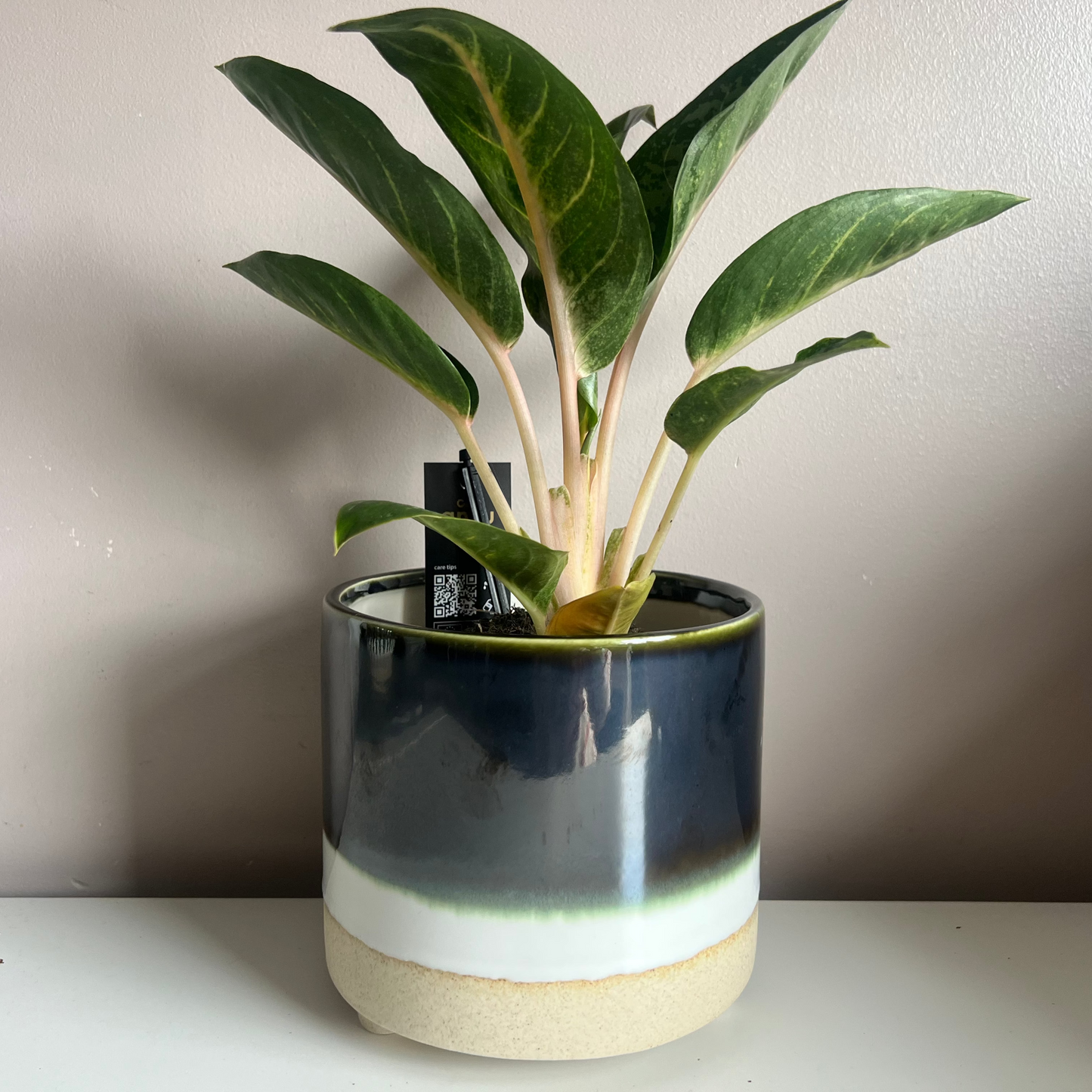 Nori Pot - 14cm inner