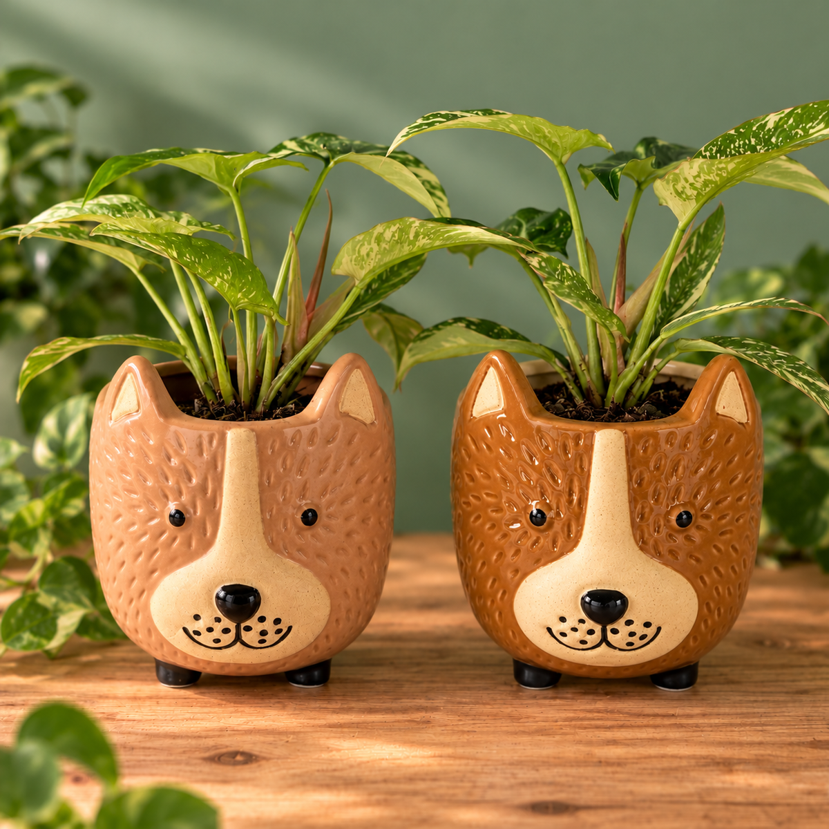 Ceramic Bear Pot - 9.5cm inner (2 colours)