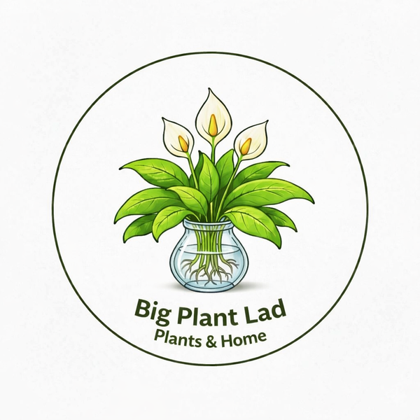 Bigplantlad 