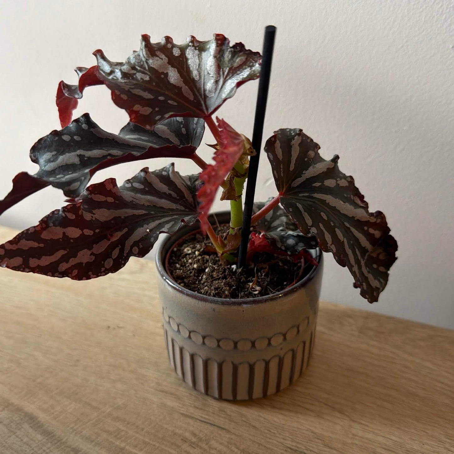 Artisan Earth Pot