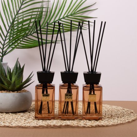 Diffuser Ombre; Set of 3