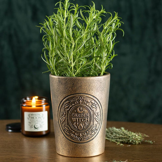 Garden Witch Bronze Effect Terracotta Plant Pot 11.5cm inner