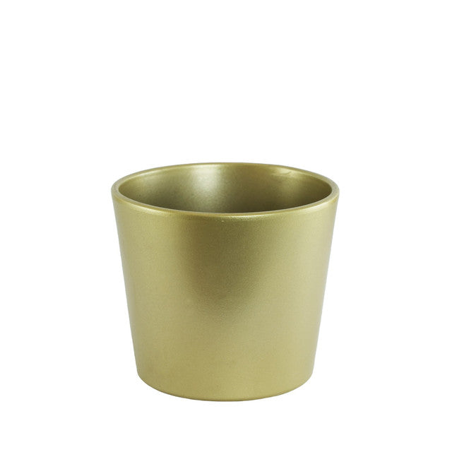 Gold Midas Pot 13.5cm inner