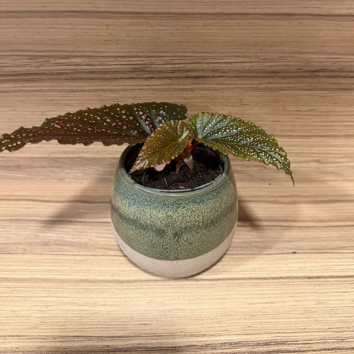 Riverstone Pot 6.5cm inner