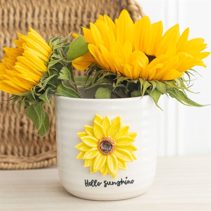 Hello Sunshine Plant Pot with 3D Sunflower 10cm inner