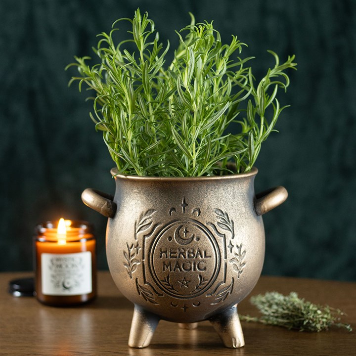 Herbal Magic Bronze Effect Terracotta Cauldron Plant Pot 13cm inner