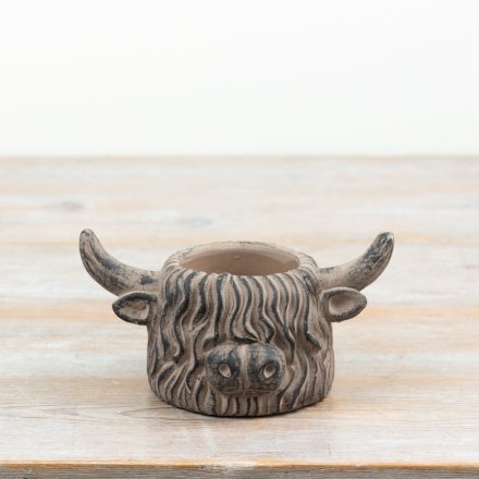 Highland Cow Plant Pot 6.5cm inner