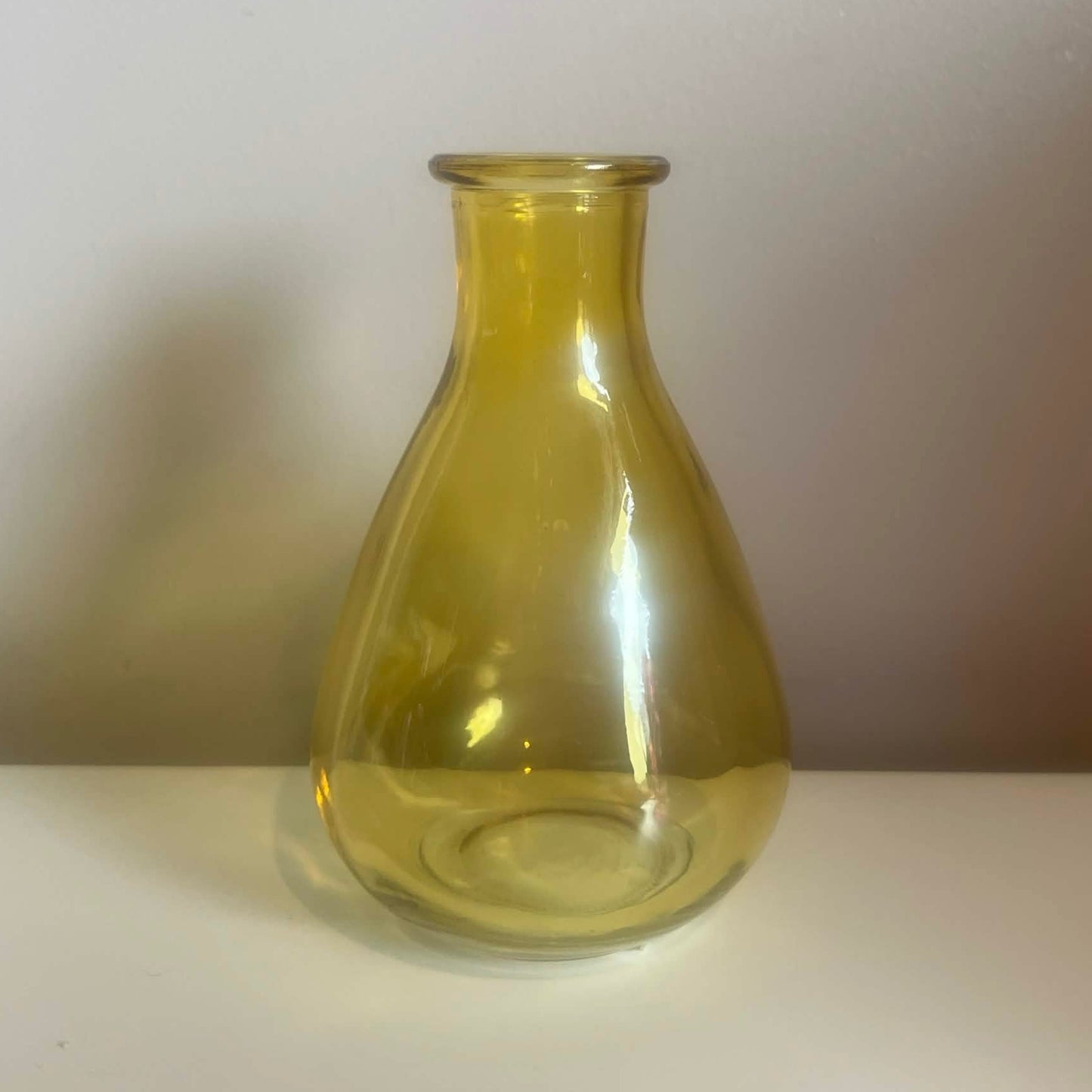 Posey Pop Vase (4 colours)