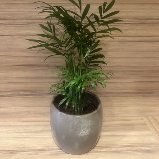 Mocha Stone Pot 13cm inner