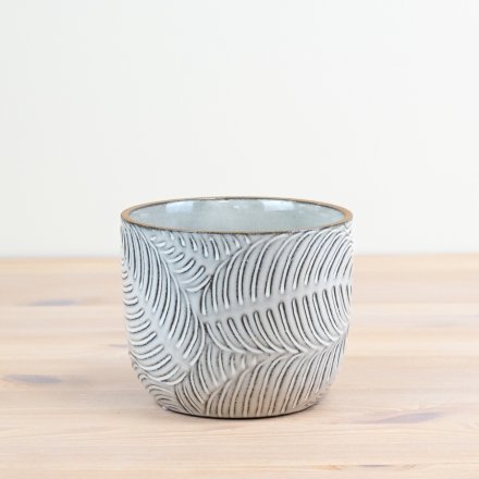 Fernvale Pot