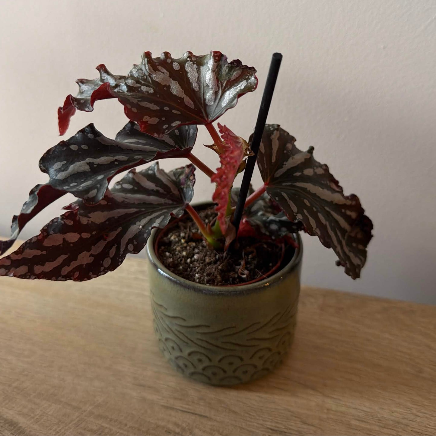 Artisan Earth Pot