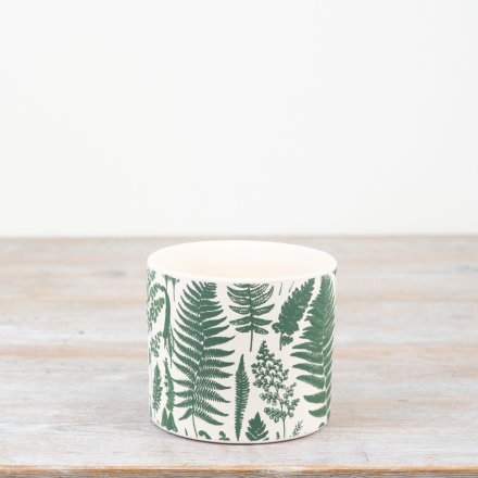 Botanical Fern Plant Pot 10.5cm inner