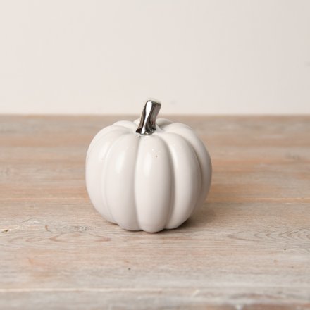 Moonlight Pumpkin